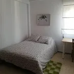 Rent 6 bedroom apartment in Seville