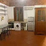 Rent 2 bedroom apartment of 55 m² in Pontedera