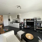 Rent 1 bedroom apartment in Geel