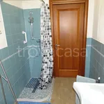 Rent 1 bedroom apartment of 40 m² in San Carlo Canavese