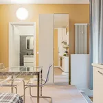 Rent 1 bedroom apartment in Milan