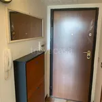 Rent 1 bedroom apartment of 30 m² in Cinisello Balsamo