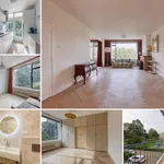 Rent 4 bedroom apartment of 110 m² in Waldeck-Noord