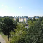 Rent 3 bedroom apartment of 57 m² in Dessau-Roßlau