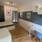 Rent 2 bedroom apartment of 46 m² in Lille