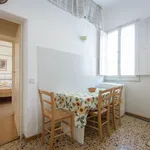 Rent 1 bedroom apartment of 50 m² in Florence