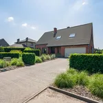 Rent 4 bedroom house of 1019 m² in Hoogstraten