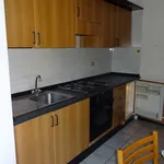 Rent 1 bedroom apartment of 40 m² in Rosate