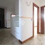 Rent 4 bedroom apartment of 130 m² in Pescara