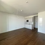 Rent 1 bedroom apartment of 52 m² in Frankfurt