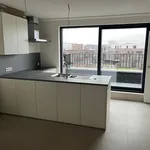 Rent 2 bedroom apartment in Kruisem