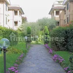 Rent 2 bedroom apartment of 54 m² in Desio