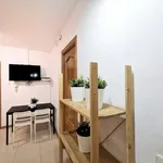 Rent 4 bedroom apartment in Madrid