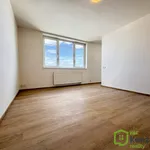 Rent 2 bedroom apartment in Brno