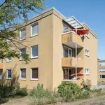 Rent 4 bedroom apartment of 76 m² in Wolfsburg