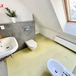 Rent 3 bedroom apartment of 75 m² in Praha 6 - Břevnov