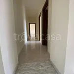 Rent 3 bedroom apartment of 75 m² in Catanzaro