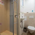 Pronajměte si 1 ložnic/e byt o rozloze 36 m² v Prague