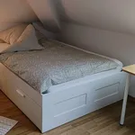 Miete 1 Schlafzimmer wohnung von 33 m² in Halle (Saale)