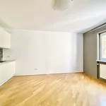 Miete 1 Schlafzimmer wohnung von 44 m² in Vienna