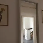 Rent 1 bedroom apartment in Graz