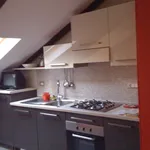 Rent 1 bedroom apartment in Turin