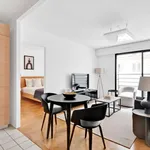 Rent 1 bedroom apartment of 43 m² in paris