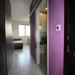 Rent 1 bedroom apartment in České Budějovice