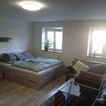 Pronajměte si 1 ložnic/e byt o rozloze 44 m² v Šternberk