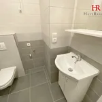 Rent 2 bedroom apartment of 40 m² in Benešov