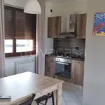 Rent 3 bedroom apartment of 65 m² in Verona