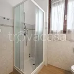 Rent 3 bedroom apartment of 100 m² in Firenze