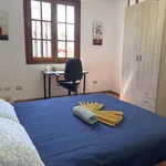 Rent a room of 200 m² in Las Palmas de Gran Canaria