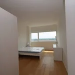 Rent 3 bedroom apartment of 80 m² in Padua