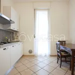 Rent 3 bedroom apartment of 85 m² in Monza