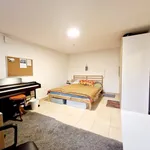 Rent 1 bedroom apartment of 40 m² in olomouc