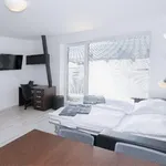 Rent 2 bedroom apartment of 100 m² in Brno