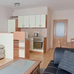 Rent 1 bedroom apartment of 35 m² in Prague