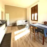 Rent 3 bedroom apartment of 80 m² in Firenze