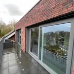 Duplex for rent - Gavere