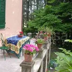 Rent 7 bedroom house of 350 m² in Terricciola