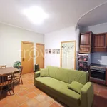 Rent 2 bedroom apartment of 70 m² in Roma