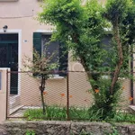 Rent 2 bedroom apartment of 55 m² in Padova