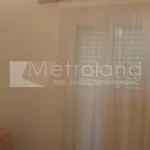 Rent 3 bedroom house of 100 m² in Municipal Unit of Opountioi