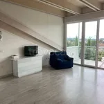 Rent 2 bedroom apartment of 60 m² in Frosinone