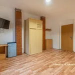 Rent 1 bedroom house of 195 m² in Ústí nad Labem