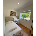 Rent 5 bedroom house in Brighton