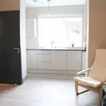 Rent 1 bedroom apartment in Dublin