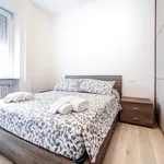 Rent 1 bedroom apartment of 40 m² in Bologna