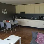 Huur 1 slaapkamer appartement van 42 m² in Harskamp